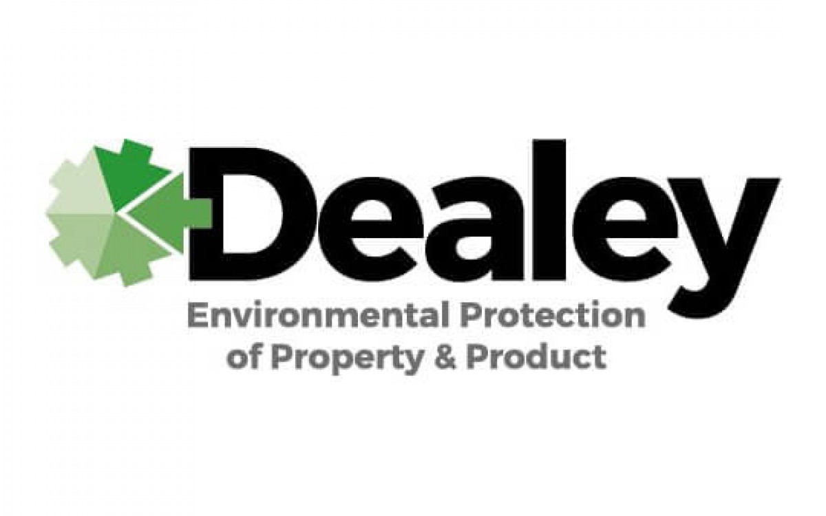 Logo illustration 3