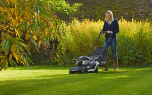 Hayter Mowers illustration in the Brown & Brown marketing portfolio.