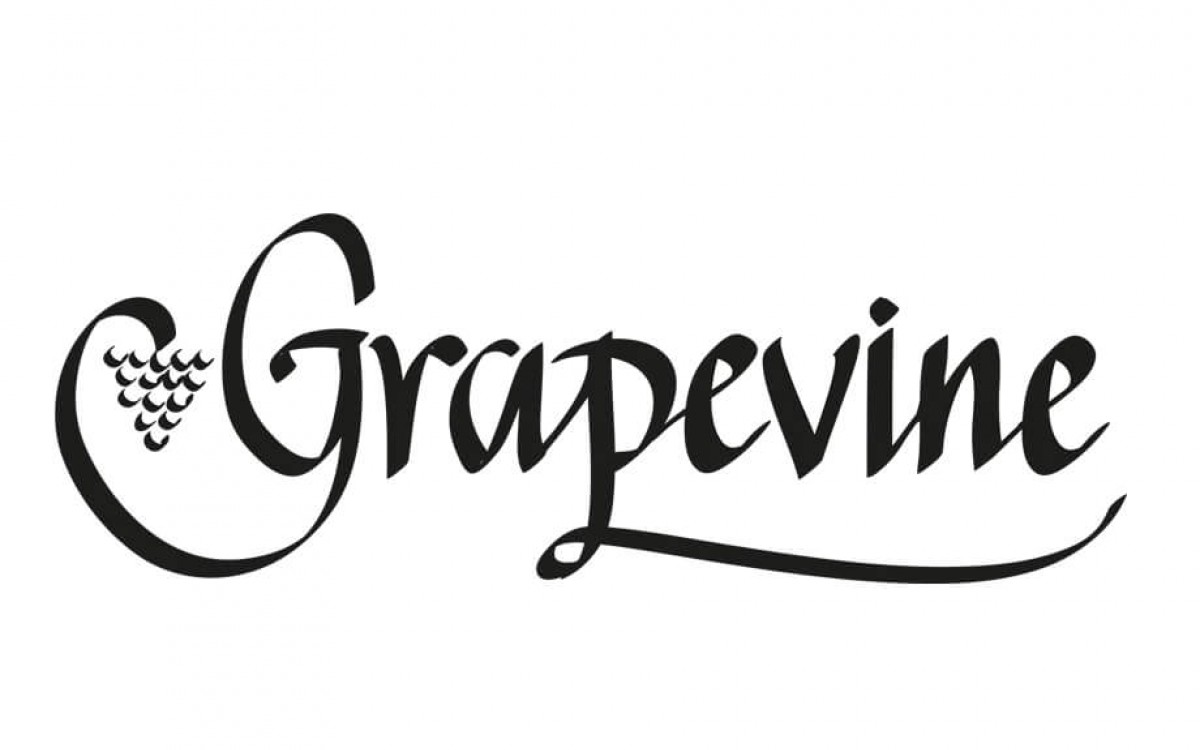 Logo illustration 15